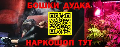 дмт Ставрополь
