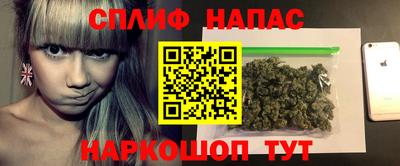 дмт Ставрополь